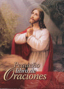 PEQUEÑO LIBRO DE ORACIONES - MINI LIBRO - LETRA GRANDE