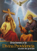 ORACIONES A LA DIVINA PROVIDENCIA - ACCION DE GRACIAS - MINI LIBRO - LETRA GRANDE