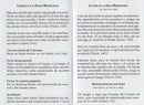 DIVINA MISERICORDIA – JESÚS, CONFÍO EN TI – DÍPTICO DE ORACIÓN
