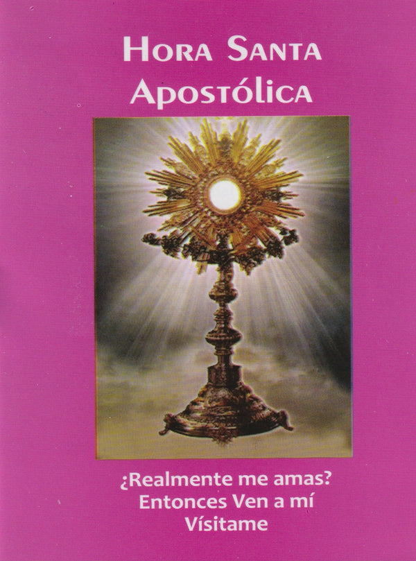 HORA SANTA APOSTOLICA