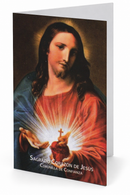 SAGRADO CORAZON DE JESUS – CORONILLA DE CONFIANZA – DIPTICO DE ORACION