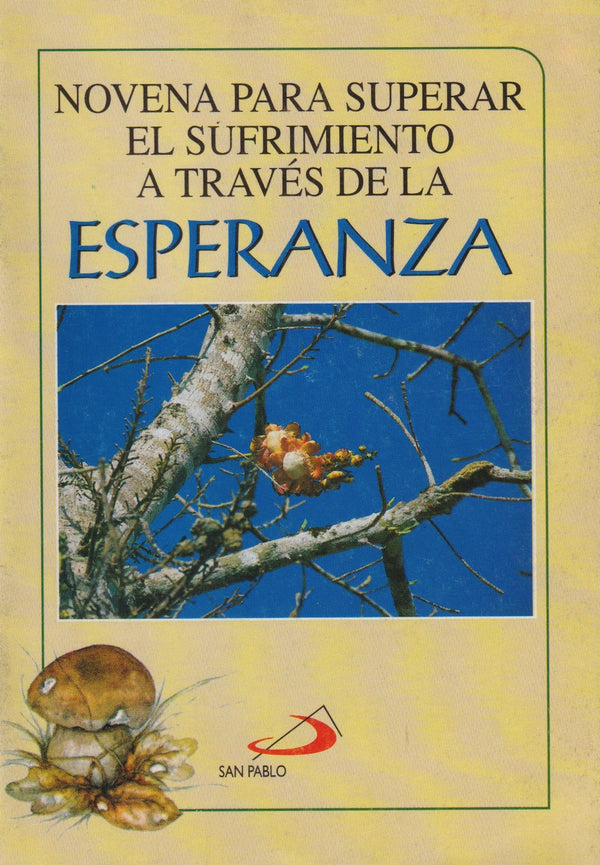 NOVENA PARA SUPERAR EL SUFRIMIENTO A TRAVES DE LA ESPERANZA