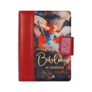 LA SAGRADA BIBLIA DE AMERICA - EDICION ESTUCHE - SAN MIGUEL ARCANGEL
