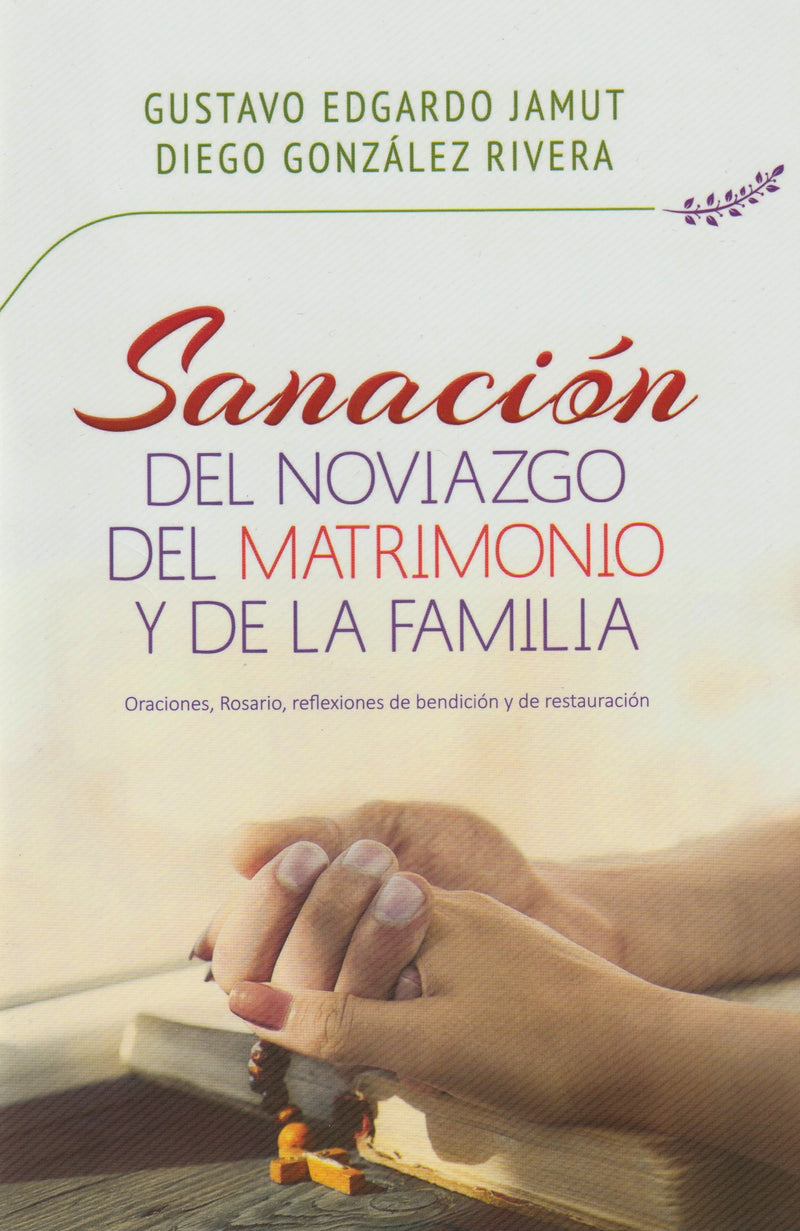 SANACION DEL NOVIAZGO MATRIMONIO Y FAMILIA