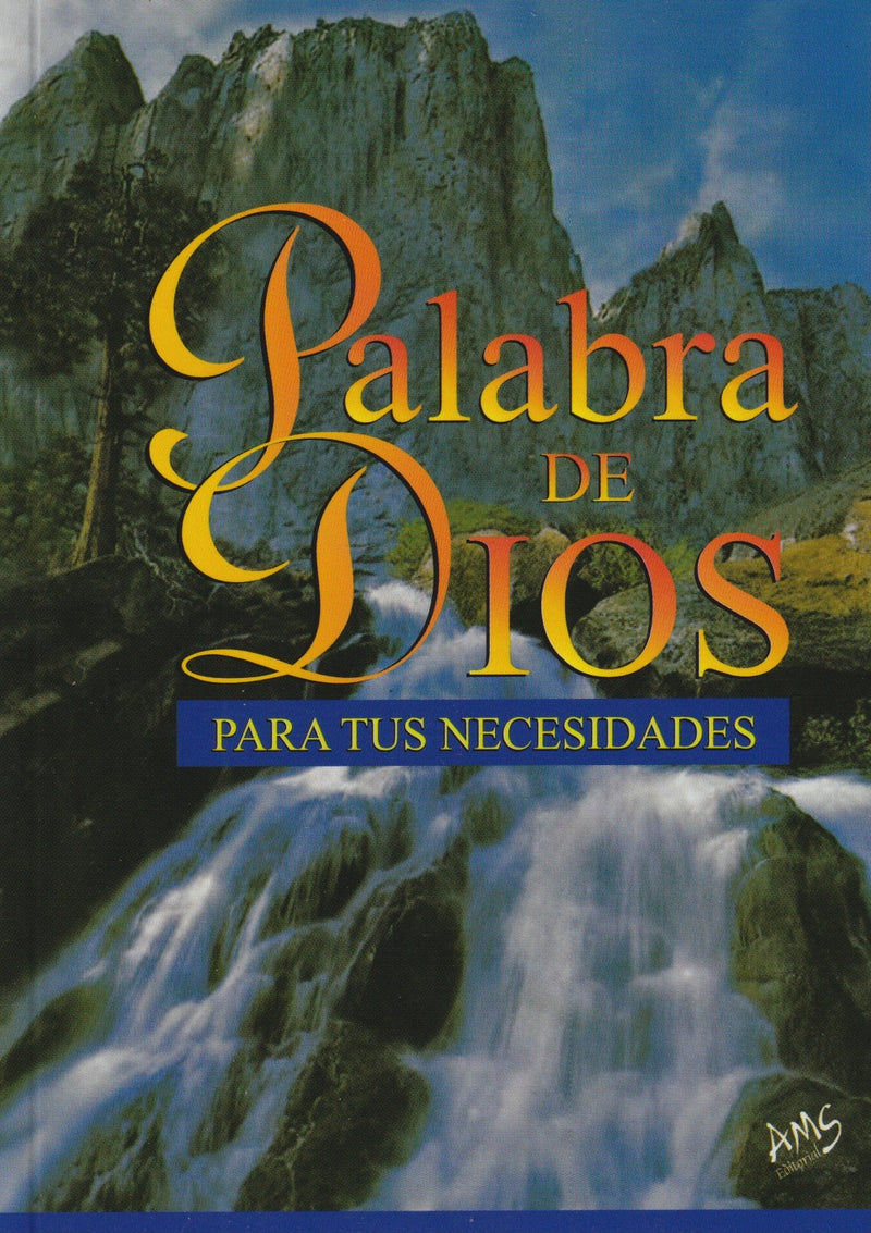 PALABRA DE DIOS PARA TUS NECESIDADES - BOLSILLO